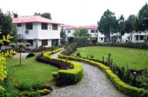 Pestle weed college